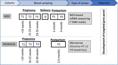 Design of a targeted blood transcriptional panel for monitoring immunological changes accompanying pregnancy